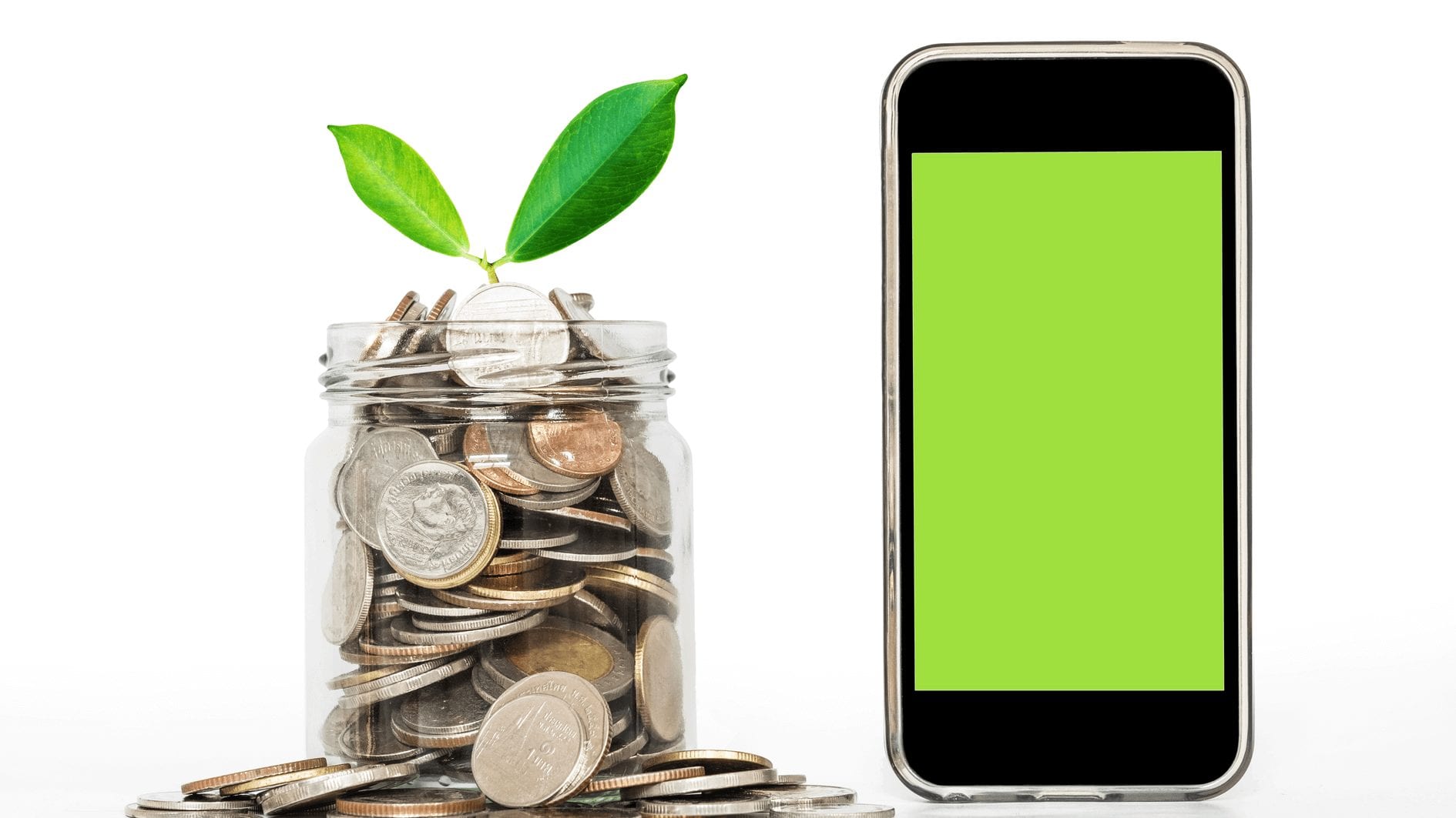 Mengapa Harga Jual Software Payroll Berbeda? Ketahui Hal Ini!