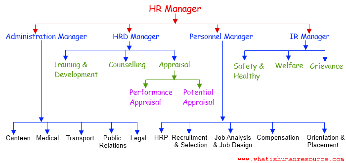 hrd manager