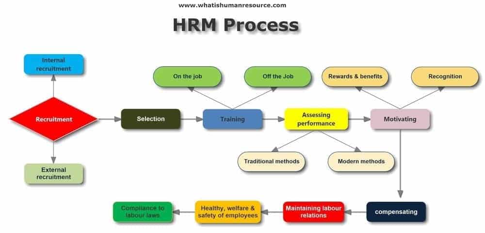 Seluk Beluk HR Manager, Berikut Hal-hal yang Wajib Diketauhi