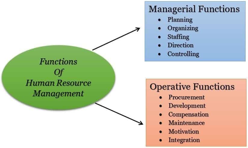 Mengenal Hr Manager Dan Bagaimana Peran Pentingnya Di Perusahaan