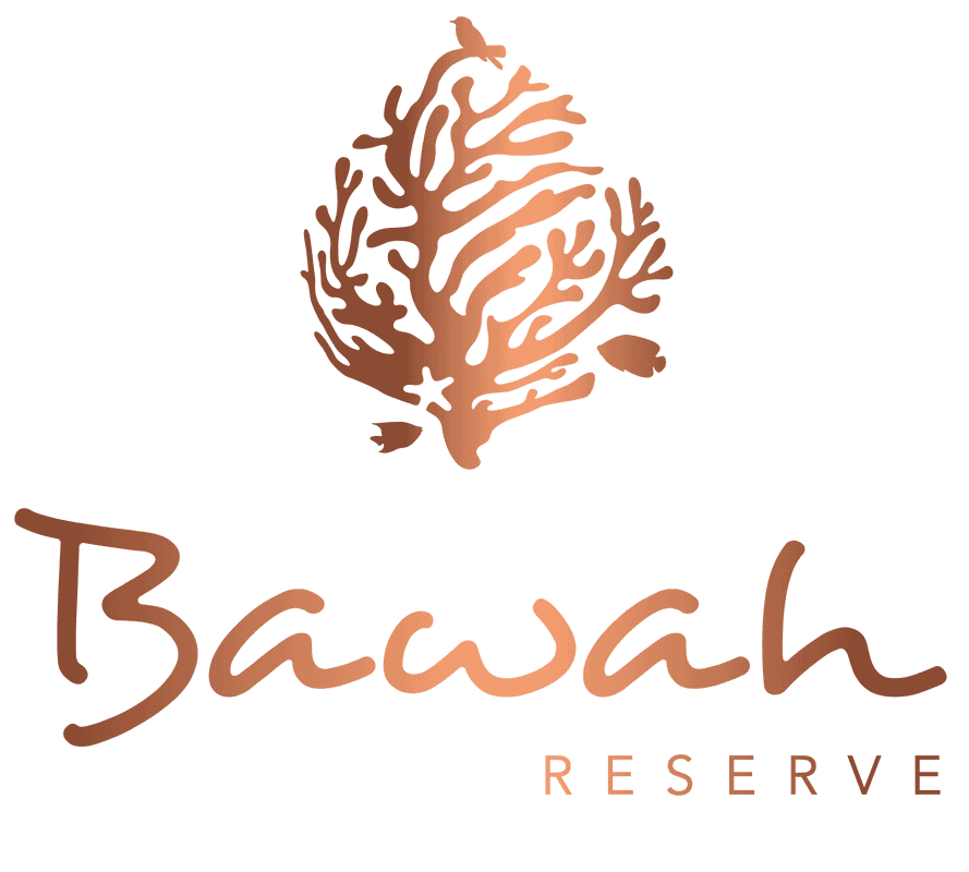 Logo Bawah Reserve