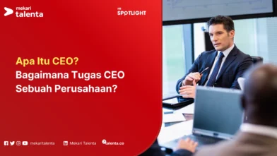 apa itu ceo