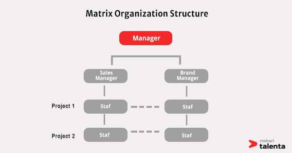 bagan struktur organisasi matrix