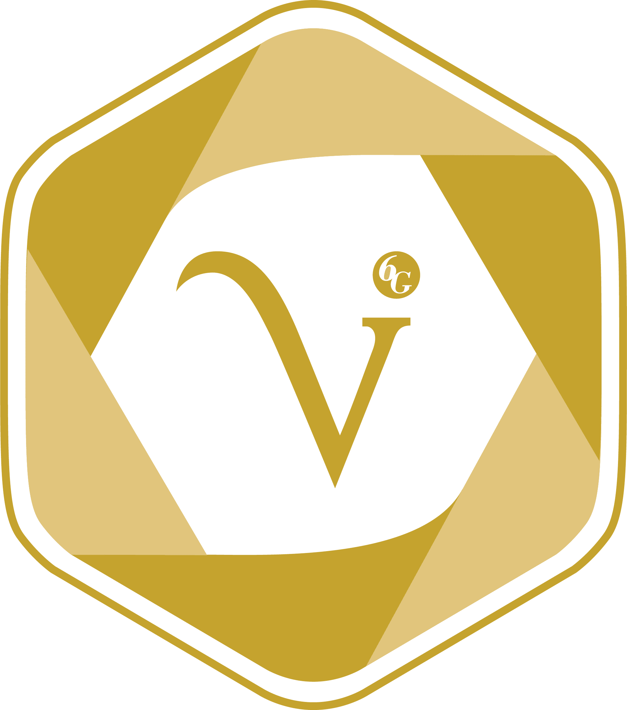 Logo PT Victoria Care Indonesia