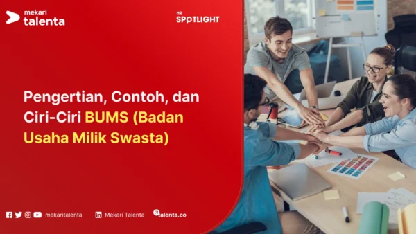 BUMS (Badan Usaha Milik Swasta)