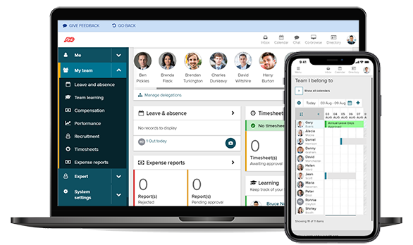 hcm software