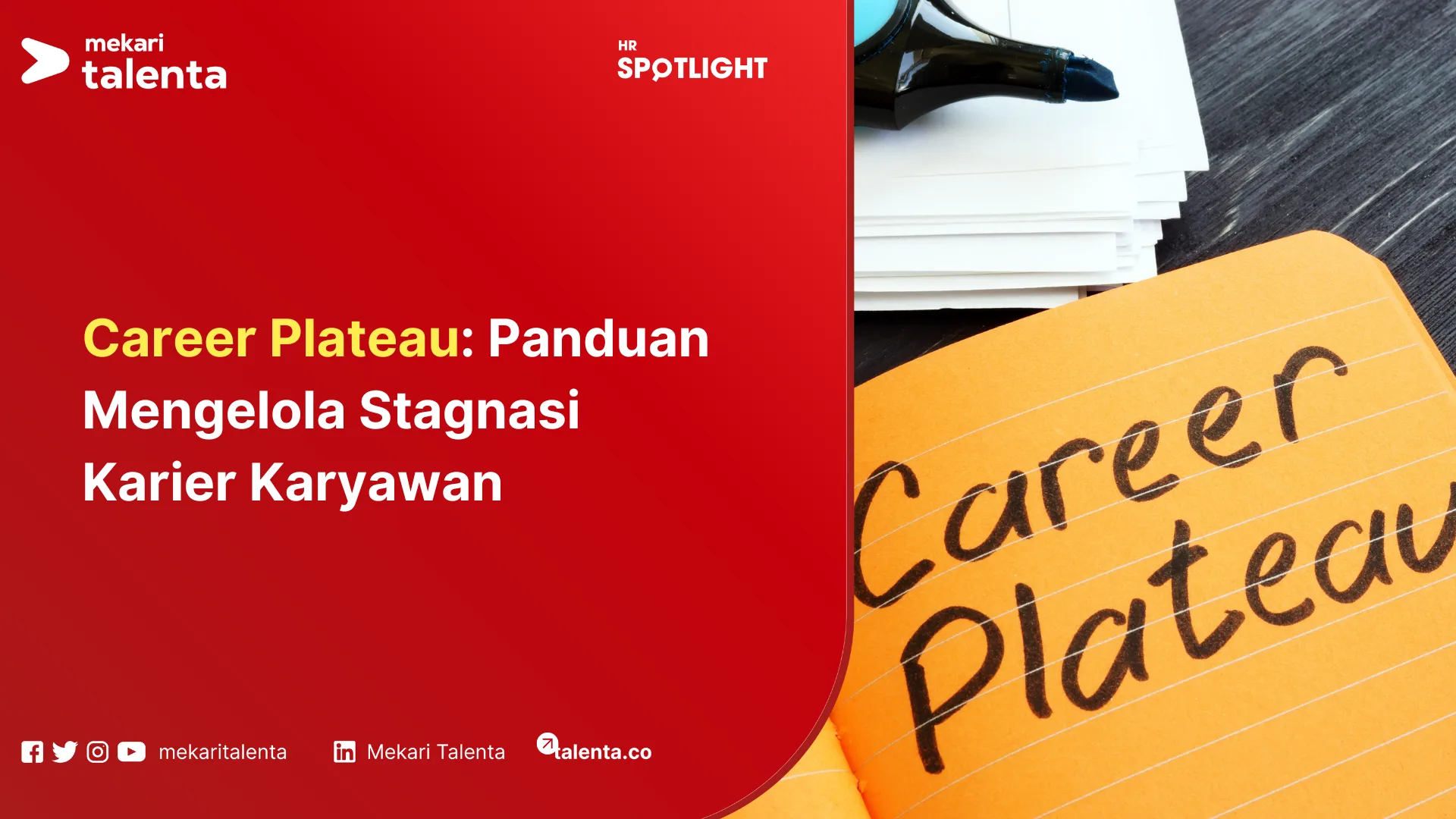 career plateau