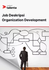 Image Organization Development