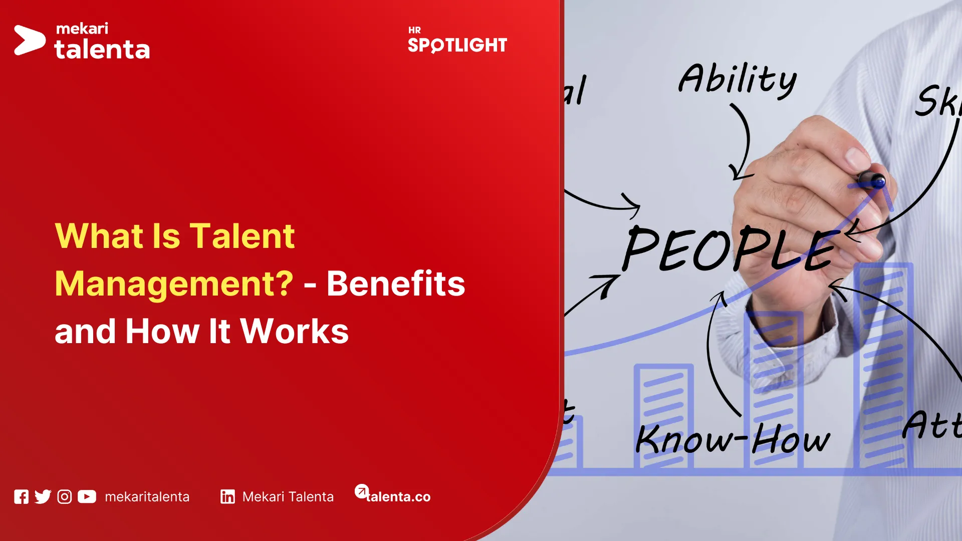 what is talent management